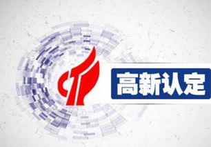 高新技术企业认定中的总收入与高新技术产品收入详解